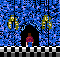 Maxi-15 Pack screenshot 3 for NES